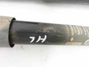 Nissan Qashqai J10 10-13 +0 Stossdämpfer Links und Rechts Hinten