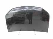 Dacia Sandero II B52 17-20 Motorhaube Frontklappe Haube