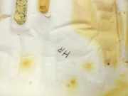 VW Tiguan I 5N 11-16 Sitzbezug Sitzpolster Rechts für Rücksitzbank Hinten