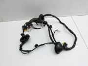 KIA Ceed ED 09-13 Kombi Kabelbaum Türkabelbaum Leitungssatz Hinten Rechts