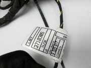 BMW 428i F36 14-17 Coupe Kabelbaum Leitungssatz f?r T?r und Fensterheber Hinten Rechts