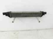 Fiat Freemont 11-16 Mjet 2,0 125KW Ladeluftkühler Kühler