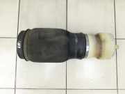 Land Range Rover III L322 Feder Luftfederbein Hinten Links