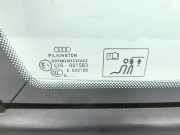 Opel Insignia A G09 09-13 Kombi Feste Seitenscheibe Scheibe Links Hinten Orig. getönt