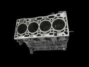 Skoda Octavia III 5E 12-17 1,6 81KW CXXB Motorblock für Motor