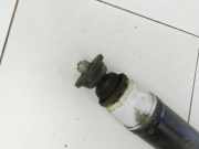 Renault Captur I 13-21 Stossdämpfer Links Hinten