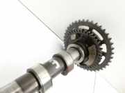 BMW E81 1er 120d 07-11 2,0d 130KW N47D20A Nockenwelle Einlass