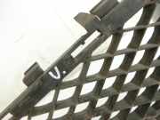 Mercedes W212 E200 09-13 Lufteinlassgitter f?r Sto?stange Sto?f?nger Vorne