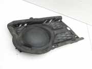 VW Tiguan I 5N 07-11 Frontblende Frontleiste Rechts