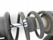 BMW E60 525i LCI 07-10 Lim Stossdämpfer Federbein Hinten Links