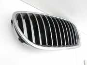 BMW F11 520d 10-13 Kühlergrill Frontgrill Niere Vorne Rechts