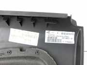 Citroen C3 Picasso 09-13 Türverkleidung Türpappe Links Hinten