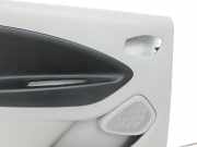 Renault Zoe BFM 12-19 Türverkleidung Türpappe Links Hinten