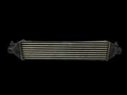 Fiat Doblo II 263 10-15 MJet 1,3d 66KW Ladeluftkühler Kühler