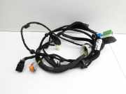 Peugeot RCZ 10-15 Coupe Kabelbaum für Tür und Fensterheber Rechts Vorne