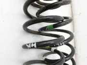 Hyundai Kona OS 17-20Feder Hinten Links und Rechts