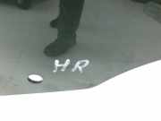 Ford Mondeo 5 V 14-19 Schrägh Seitenscheibe RHK Türscheibe Rechts Hinten Orig. getönt