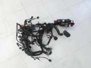 Audi A4 8K B8 QU 08-11 TDI 3,0 176KW Motor Kabelbaum Motorkabelbaum Leitungssatz