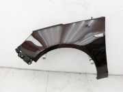 Opel Zafira C 11-16 Kotflügel Links Vorne