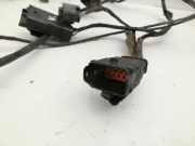 Citroen C6 TD 05-11 PDC Kabelbaum Einparkhilfe Pos.2 Vorne Oben