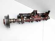 BMW E63 6er 645Ci 03-07 4,4 245KW N62B44O0 Nockenwelle Einlass Links 1-4