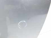 Dacia Duster II HM 18-21 Tür Beifahrertür Rechts Vorne