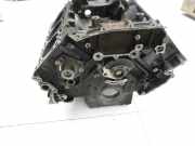 Audi A6 4F C6 08-11 TDI 3,0 176KW CDYA V6 Motorblock für Motor