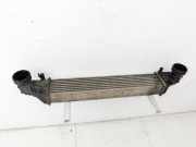 Mercedes S211 W211 E320 02-06 3,2 165KW Ladeluftkühler Kühler