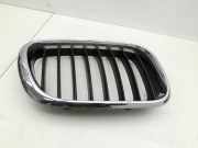 BMW E53 X5 01-03 Frontgrill Kühlergrill Rechts