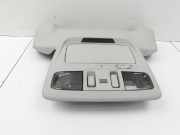 Subaru Outback V BS 15-21 Innenleuchte Innenraumleuchte Vorne Brillenfach