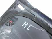 Opel Zafira C 11-16 Feste Seitenscheibe Scheibe Links Hinten Orig. getönt