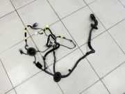 Kia Soul II PS 14-19 Kabelbaum Tür und Fensterheber Links Vorne