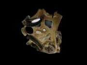 BMW E61 530xi LCI 07-09 3,0 200KW N53B30A Ölpumpe mit Spannelement