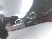 Peugeot 307 CC 03-05 Cabriolet Tür Beifahrertür Rechts Vorne