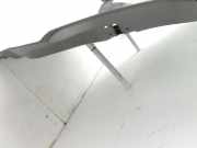 Nissan NV200 09-21 dCi 1,5 81KW Schiebetür Tür Links Hinten