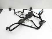 Range Rover Evoque Kabelbaum f?r T?r und Fensterheber Links Hinten