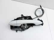 VW Passat 3G B8 14-19 Kombi Türgriff Griff aussen Links Hinten