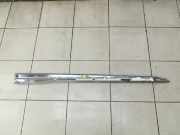 Citroen DS3 10-16 3T Türleiste Links Vorne Aussen