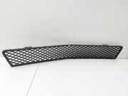 Mercedes W251 R350 10-13 Lufteinlassgitter f?r Sto?stange Sto?f?nger