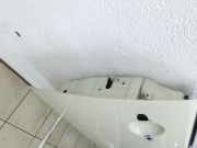 MINI Cooper S R56 LCI 09-14 3T Tür Beifahrertür Rechts Vorne