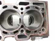 Nissan NV200 09-21 dCi 1,5 81KW K9K-400 Motorblock für Motor