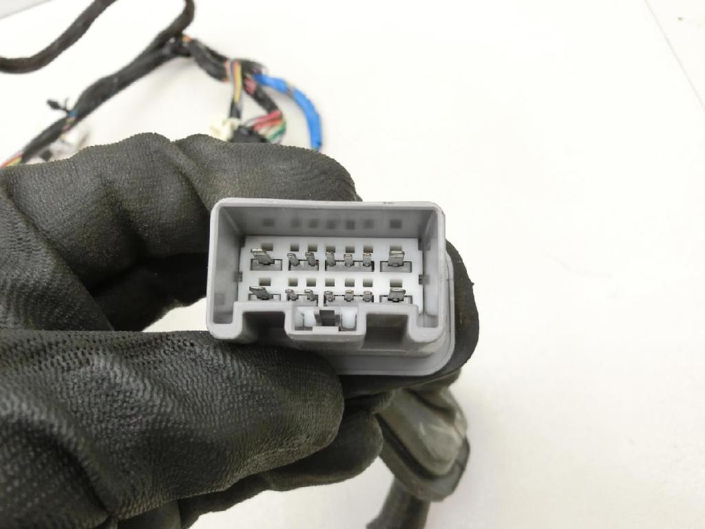 Cadillac STS 07-11 Kabelbaum Tür und Fensterheber Links Vorne Bild Cadillac STS 07-11 Kabelbaum Tür und Fensterheber Links Vorne