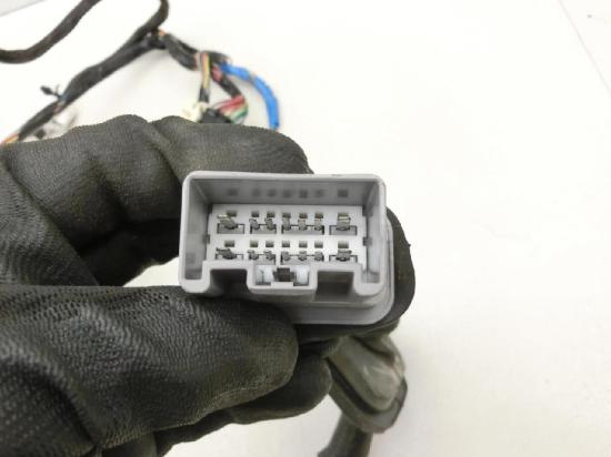 Cadillac STS 07-11 Kabelbaum Tür und Fensterheber Links Vorne Bild Cadillac STS 07-11 Kabelbaum Tür und Fensterheber Links Vorne