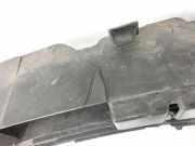 Smart ForTwo 451 07-10 Stoßstangengitter Lufteinlassgitter Grill Vorne