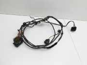 Smart ForTwo 451 07-10 Cabrio RHD Kabelbaum Tür und Fensterheber Links Vorne