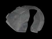 Kia Sorento III UM 15-20 Verkleidung Radhausschale Links Vorne für Kotflügel