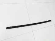 Tesla Model Y 5YJY Leiste für Tür Scheibendichtung Rechts Hinten