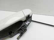 BMW X5 35d E70 06-10 Türgriff Griff aussen Links Hinten