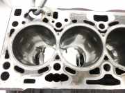 VW Tiguan II AD 16-20 TDI 2,0 110KW DFGA Motorblock für Motor