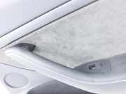 Tesla Model 3 Perf 20-23 Türverkleidung Türpappe Rechts Hinten